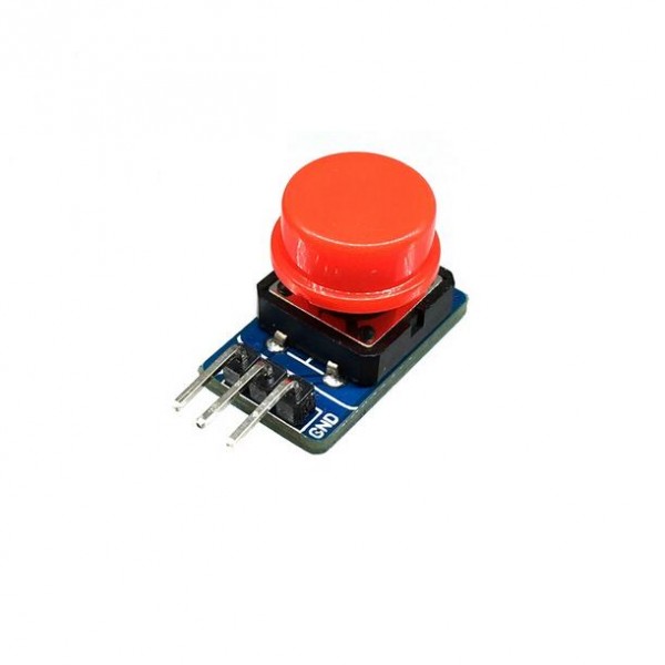 Push Button Module